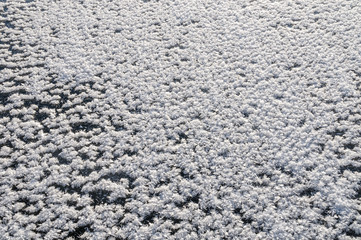 Large crystals of snow on the ice