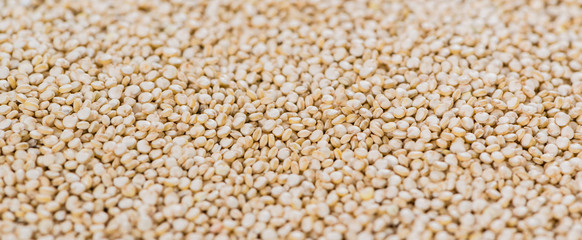 Quinoa background