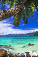 tropical paradise