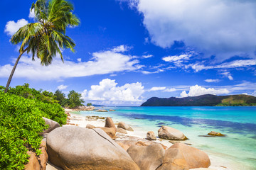 Naklejka premium incredible nature of Seychelles islands
