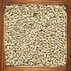Sunflower seeds, collection of products