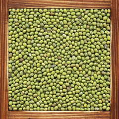 Lentil, collection of products