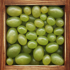 Grapes, collection of products