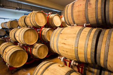 Wine Barrels Cellar Bulgaria