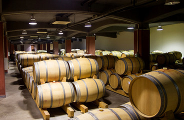 Wine Barrels Cellar Bulgaria