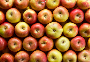 Apples