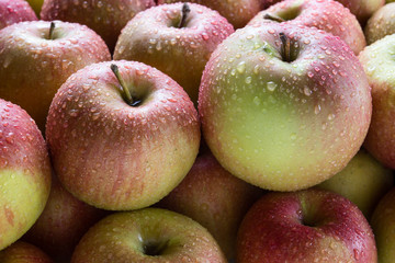 Apples
