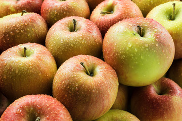 Apples