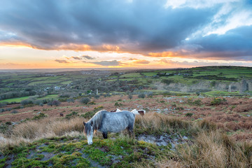 Fototapeta premium Caradon Hill on Bodmin Moor