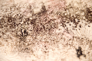 Schimmel an der Wand