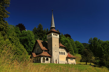 Fototapeta na wymiar Schweiz - Rocher de Naye