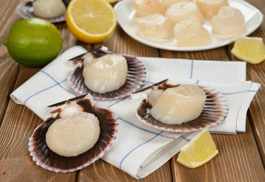 Raw scallops in the shell