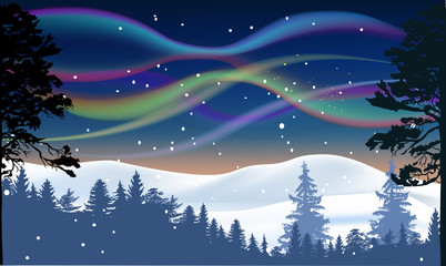 Fototapeta premium aurora polaris above winter forest