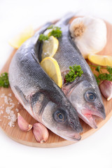 raw fish on board