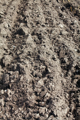 plowed field