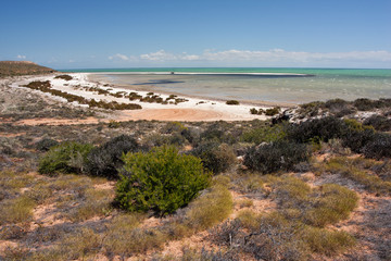 Beach in Sharkbay