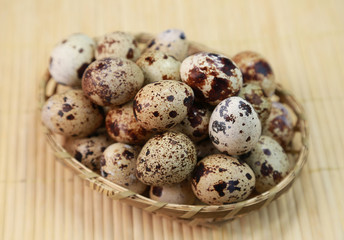Fototapeta premium うずらの卵