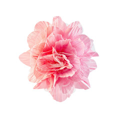 beautiful artificial cloth flowers isolated on white with workin