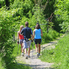 Nordic Walking in grüner Natur