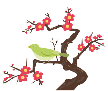 梅とウグイス