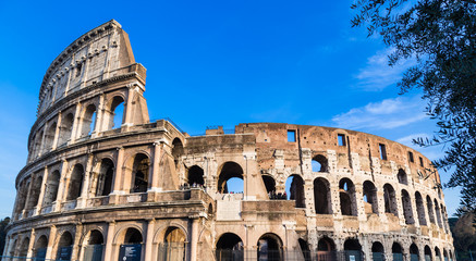 Naklejka premium Colosseum in Rome, Italy
