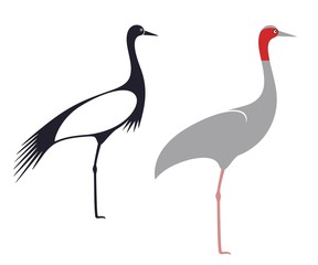 Crane