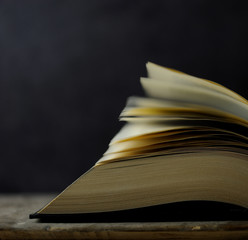 Im Buch geblättert