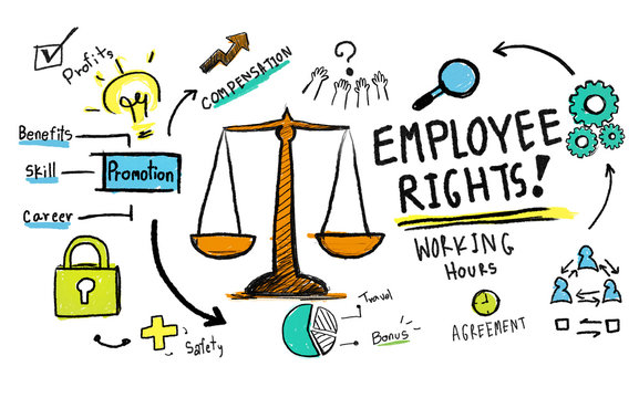 Employee Rights  Equality Job Rules Law Concept