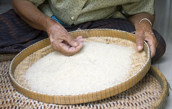 winnow rice