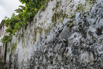 Wall