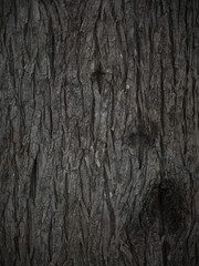 old black wood texture