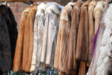 Fototapeta na wymiar Fur clothing
