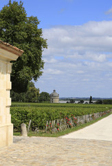 Weinbau Frankreich: Blick auf den Rundturm von Chateau Latour