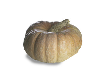 Calabaza naranja sobre fondo blanco.