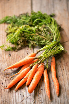 Carrot on a wooden table