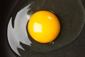 Egg