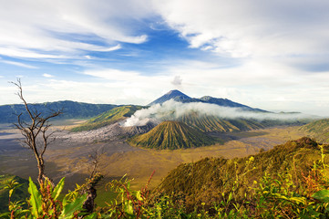 Fototapeta premium Mount bromo batok semeru volcano, java indonesia.