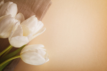 beautiful  white tulips on paper background with copy space