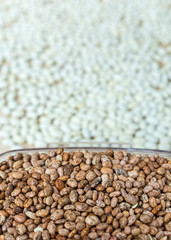 Beans