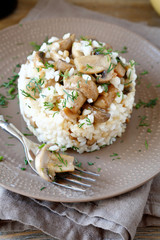Risotto with mushrooms on a plate