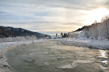 Frozen river and trees in winter season.
