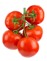 Bunch of fresh tomatoes with water drops.