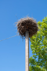 nest on column