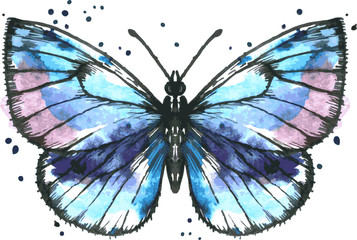 Vector blue butterfly in watercolor