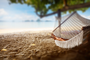 Hammock