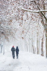 Couple walking during heavy snowstorm on the alley under tree