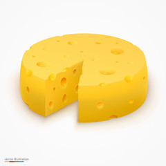 Wheel of cheese. Vector illustration