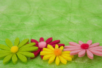 Spring background. Flowers on green sisal background.
