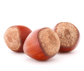 hazelnut or filbert nut isolated on white background cutout