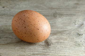 brown egg on old gray wood